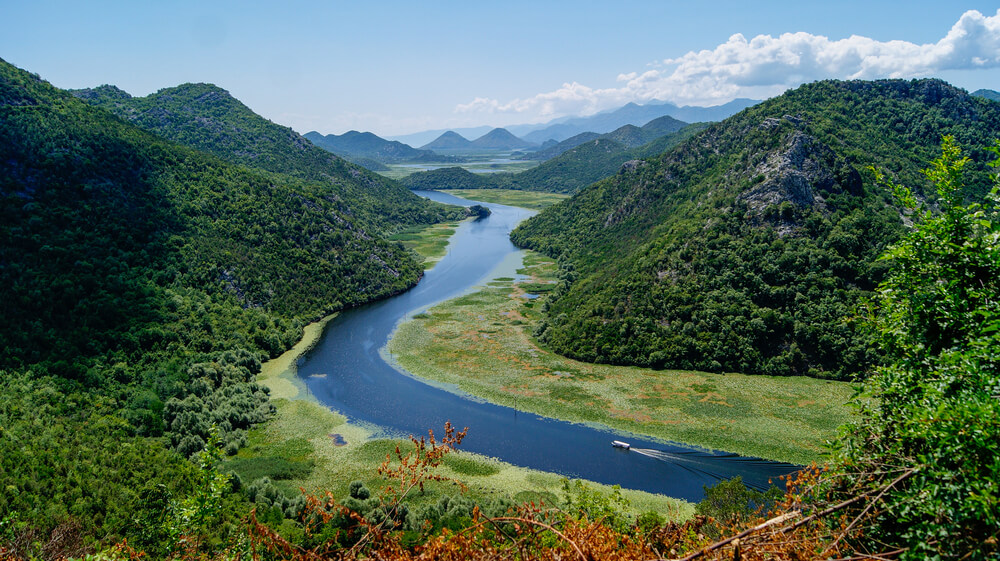 Experience the Serenity of Lake Skadar's Wild Beauty on a Scenic Boat Tour